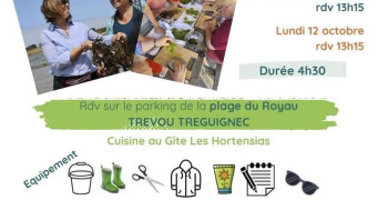 Sortie découverte des algues avec Sonia et Delphine