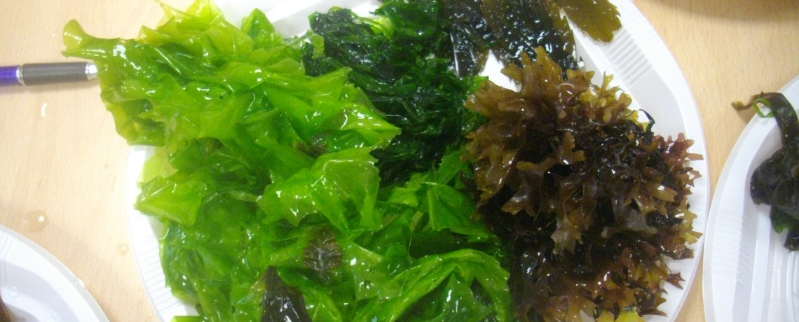 Les algues sont-elles toutes comestibles ?